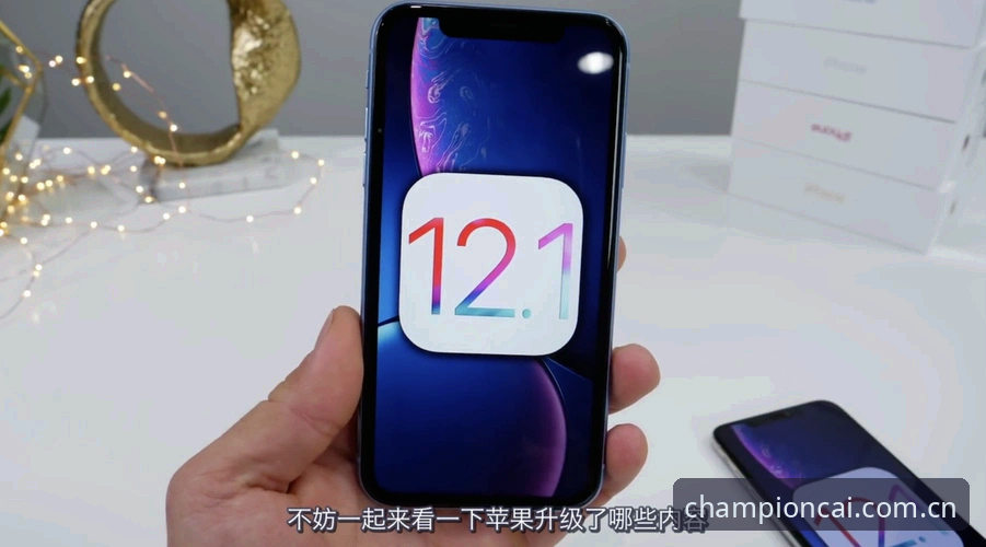 冠军白菜有什么功能 冠军白菜平台新旧版本对比:功能全面进化与用户体验升级